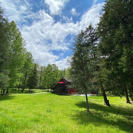 Shadow Mountain Escape Cabin Rentals Luray Bagian luar foto