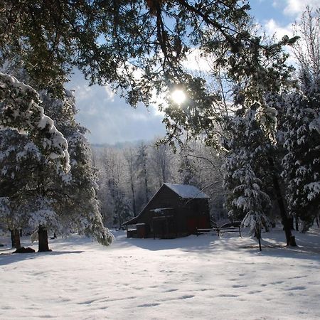Shadow Mountain Escape Cabin Rentals Luray Bagian luar foto