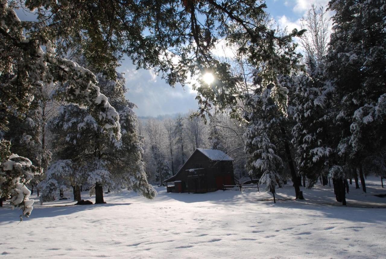 Shadow Mountain Escape Cabin Rentals Luray Bagian luar foto