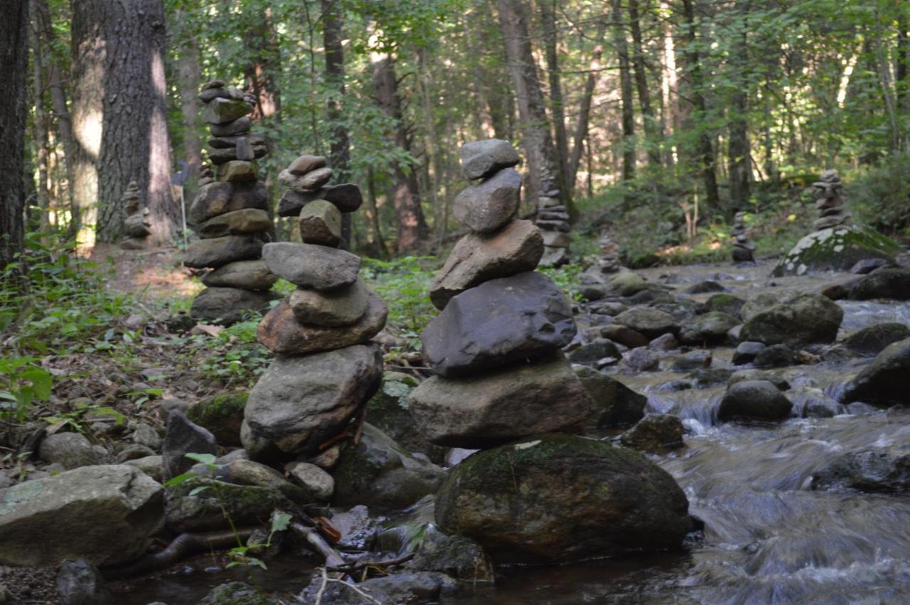 Shadow Mountain Escape Cabin Rentals Luray Bagian luar foto